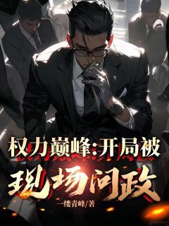 权力巅峰:开局被现场问政快手热推唐修周诗然免费阅读-暗夜阅读网