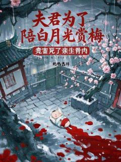 优质新书夫君为了陪白月光赏梅，竟害死了亲生骨肉最新章节小说全文阅读-暗夜阅读网