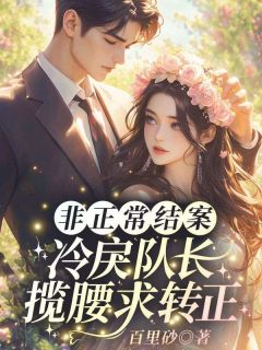 非正常结案：冷戾队长揽腰求转正小说(完整版)-唐早路霄峥章节阅读-暗夜阅读网