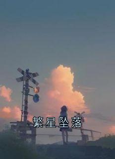 繁星坠落免费阅读全文，主角黎念贺迟宴小说