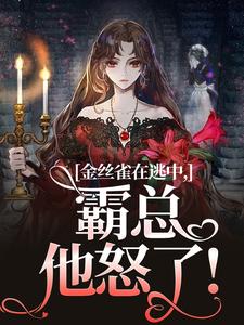 抖音我原来只是他的金丝雀txt小说阅读
