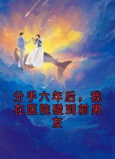 分手六年后，我在医院碰到前男友免费章节分手六年后，我在医院碰到前男友点我搜索全章节小说