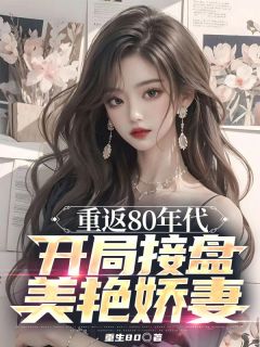 陈安韩书雅小说结局