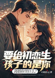 独家要给初恋生孩子的是你，离婚你哭什么？小说-主角叶枫苏南枝全文免费阅读
