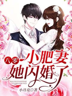 新书推荐八零小肥妻她闪婚了完整版小说-顾晚陆擎最新章节阅读-暗夜阅读网