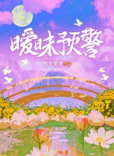暧昧预警全本小说（暧昧预警）全文阅读