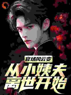 (抖音)官场风云变，从小姨夫离世开始 主角林朝阳沈玉雁