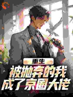 重生：被抛弃的我成了京圈大佬在哪免费看，江南顾北舟小说章节目录阅读-暗夜阅读网