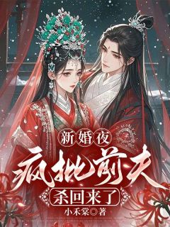 新婚夜，疯批前夫杀回来了方锦宁谢韫全章节在线阅读