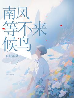 南风等不来候鸟小说(完结)-沈南风顾安南无删减阅读