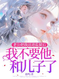 鹿鸣写的小说老公把我送进监狱后，我不要他和儿子了叶晚卿陆逸全文阅读