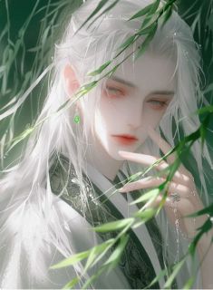 美人何处醉黄花小说的书名是什么