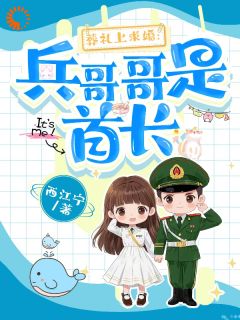 值得熬夜看完的葬礼上求婚：兵哥哥是首长小说阅读