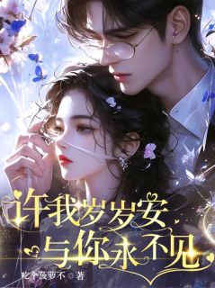 抖音爆款许我岁岁安，与你永不见完整小说（全文阅读）
