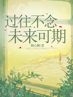 过往不念，未来可期免费阅读全文，主角安雅孟勤业小说完整版-暗夜阅读网