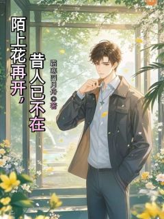 陌上花再开，昔人已不在小说主角是沈默苏婉彤全文完整版阅读
