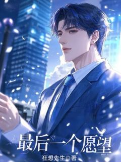 狂想先生的小说最后一个愿望主角是江辰姜瑶