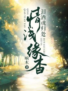 情浅缘杳泪洒魂归处快手热推秦韵顾承泽免费阅读
