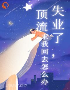 失业了，顶流求我回去怎么办小说的书名是什么