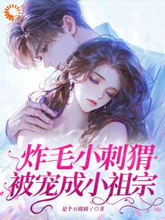 洛云野乔晚吟小说<炸毛小刺猬被宠成小祖宗>全文在线阅读