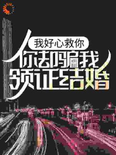 我好心救你，你却骗我领证结婚？向风柳如云全章节在线阅读
