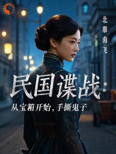 爆款小说民国谍战：从宝箱开始，手撕鬼子在线阅读-林枫阿兰免费阅读