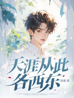 值得熬夜看完的天涯从此各西东小说阅读