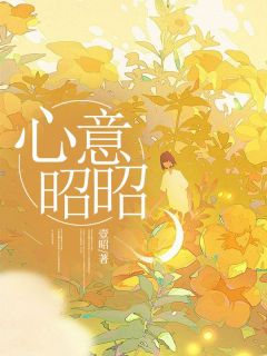 傅时昭林茜完整版心意昭昭全文最新阅读