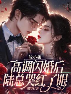 沈青璃陆凌川全集小说_沈小姐高调闪婚后，陆总哭红了眼完结版阅读-暗夜阅读网
