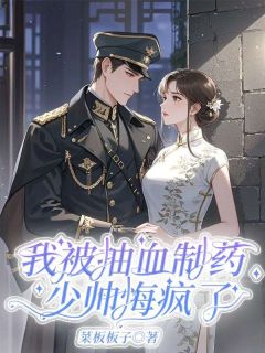 我被抽血制药，少帅悔疯了丁玲月叶鹏秋全本小说（我被抽血制药，少帅悔疯了）全章节小说目录阅读