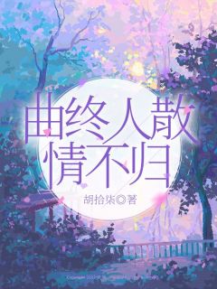 主角念念封宴小说爆款曲终人散情不归完整版小说