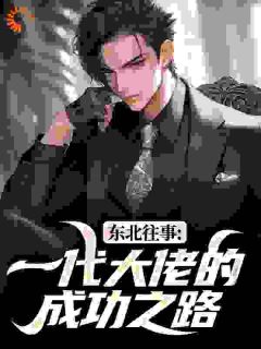 主角王晨张玉茹小说完整版-东北往事：一代大佬的成功之路免费阅读全文