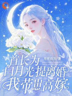 盛南汐秦昀川(原文完整)首长为白月光提离婚，我带崽高嫁无弹窗免费阅读-暗夜阅读网