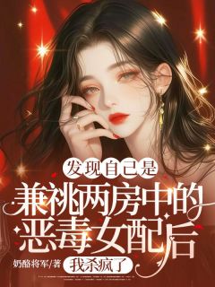主角宁宛林明辉小说，发现自己是兼祧两房中的恶毒女配后，我杀疯了免费阅读全文