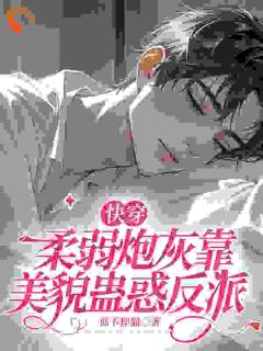 【快穿】柔弱炮灰靠美貌蛊惑反派小说最后结局，阮清姝索伦百度贴吧小说全文免费