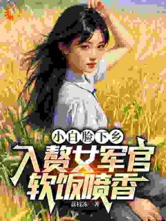 小白脸下乡，入赘女军官软饭喷香精彩小说-小白脸下乡，入赘女军官软饭喷香目录阅读