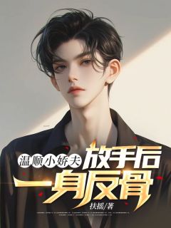 温顺小娇夫，放手后一身反骨完整版免费阅读，温南川沈清欢小说大结局在哪看