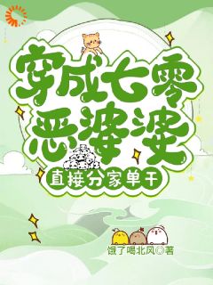 热文穿成七零恶婆婆？直接分家单干！小说-主角廖红霞沈美华全文在线阅读
