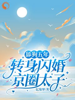 舔狗五年，转身闪婚京圈太子顾婻风陆泽小说全章节最新阅读