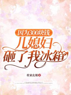 抖音爆款因为300块钱儿媳妇砸了我冰箱刘娟陈浩无广告阅读-暗夜阅读网