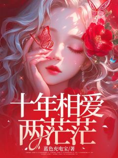 十年相爱两茫茫沈言心陆屿最新章节在线阅读