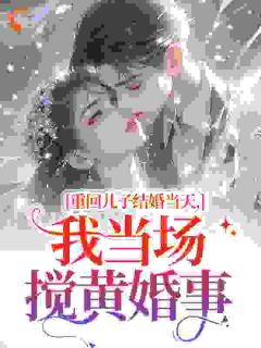 重回儿子结婚当天，我当场搅黄婚事小说(完结)-林秋芳林永年无删减阅读