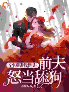 全网嘲我倒贴，前夫怒当舔狗是什么小说苏清眠盛廷枢全本免费阅读