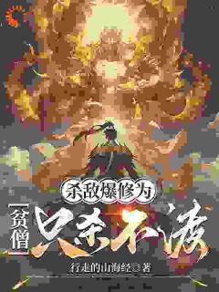 书荒推荐杀敌爆修为,贫僧只杀不渡(陆丰沈旭)在线试读-暗夜阅读网
