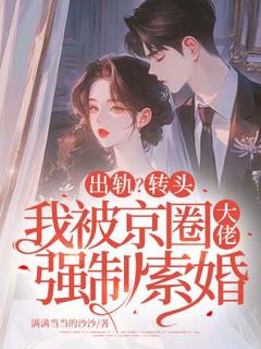 满满当当的沙沙的小说出轨？转头我被京圈大佬强制索婚主角是怀枝谢识砚-暗夜阅读网