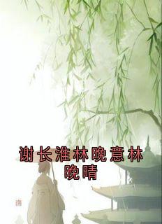 爆款小说谢长淮林晚意林晚晴在线阅读-谢长淮林晚意免费阅读-暗夜阅读网