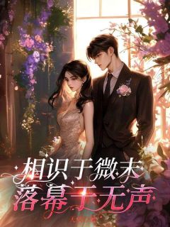相识于微末，落幕于无声林浅陆宴全章节目录免费阅读