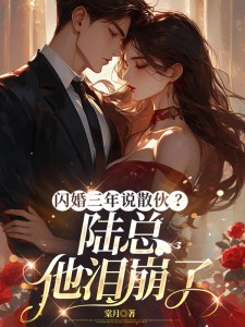 林初语陆寒舟(原文完整)闪婚三年说散伙？陆总他泪崩了无弹窗免费阅读