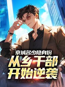 京城名少隐身份，从乡干部开始逆袭裴靖泽林颖小说全文阅读