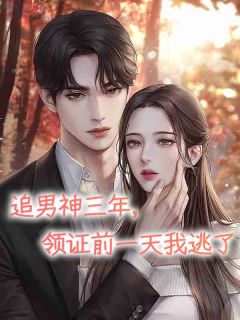 追男神三年，领证前一天我逃了(傅惜泽穆爱羽)小说全章节目录阅读
